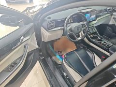 BYD Qin Plus DM-i 55KM Flagship - ფოტო 16