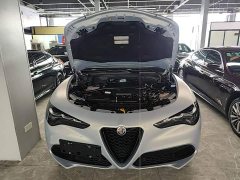 Alfa Romeo Stelvio 2.0T 280HP Competizione - ფოტო 20