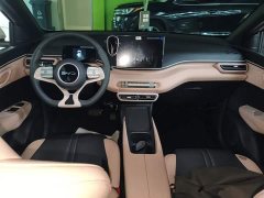 BYD Seagull 2025 305km Vitality Edition - ფოტო 10