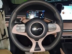 BYD Seagull 2025 305km Vitality Edition - ფოტო 11
