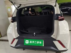 BYD Seagull 2025 305km Vitality Edition - ფოტო 19