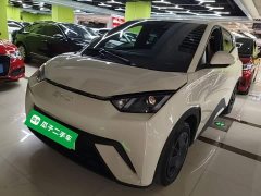 BYD Seagull 2025 305km Vitality Edition - ფოტო 2