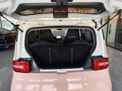 Wuling Hongguang MINIEV 2020 Deluxe Edition LFP Battery - ფოტო 19