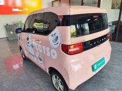 Wuling Hongguang MINIEV 2020 Deluxe Edition LFP Battery - ფოტო 5