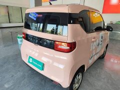 Wuling Hongguang MINIEV 2020 Deluxe Edition LFP Battery - ფოტო 7