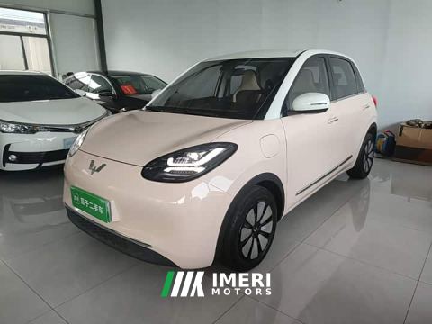 2023 Wuling Binguo 410km Lingxi Premium Edition