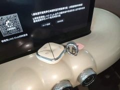 Wuling Binguo 410km Lingxi Premium Edition - ფოტო 9
