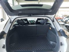 Neta U 2022 Neta U-II 400 Lite Ternary Lithium - ფოტო 19
