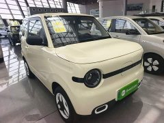 Geely Panda 2025 Panda Mini 210km Vitality Edition - ფოტო 4