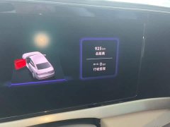Volkswagen Passat 2025 Pro 380TSI Starry Sky Dragon Premium Edition - ფოტო 12