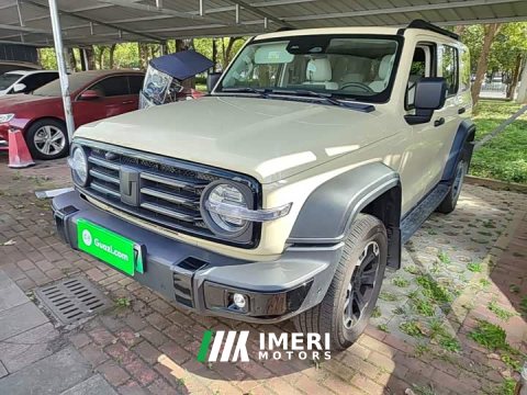 2025 Tank 300 New Energy Hi4-T 37.1kWh - ავტომობილი ჩინეთიდან