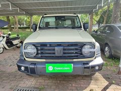 Tank 300 New Energy Hi4-T 37.1kWh - ფოტო 3