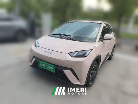 2024 BYD Seagull Freedom Edition - ავტომობილი ჩინეთიდან