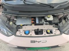 BYD Seagull 2023 Freedom Edition - ფოტო 11