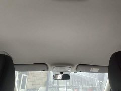 Geely Bingyue New Energy 2020 1.5T ePro Higher - ფოტო 18