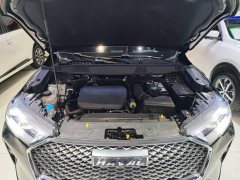 Haval H6 2022 Third Generation 1.5T Automatic Two-Wheel Drive Max - ფოტო 20