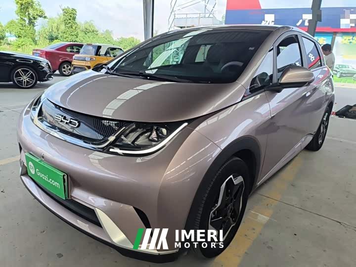 BYD Dolphin 405km Freedom Edition - ავტომობილი ჩინეთიდან