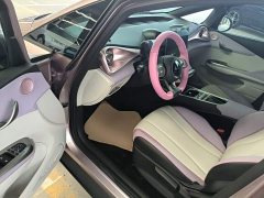 BYD Dolphin 405km Freedom Edition - ფოტო 16