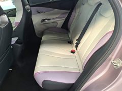 BYD Dolphin 405km Freedom Edition - ფოტო 17