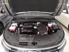 BYD Destroyer 05 Glory Edition DM-i 120KM Luxury - ფოტო 20