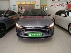 BYD Destroyer 05 Glory Edition DM-i 120KM Luxury - ფოტო 3