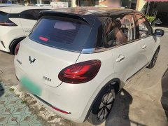 Wuling Binguo 2023 333km Joy Edition - ფოტო 7