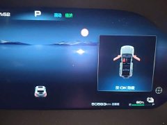 Tank 400 New Energy 2023 Hi4-T Ultra Power Edition - ფოტო 12