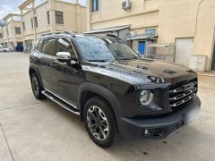 Great Wall Dachshund 2.0T DCT Four-Wheel Drive Howling Celestial Dog Edition - ფოტო 6