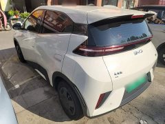 BYD Seagull Smart Drive 305km Vitality Edition - ფოტო 5