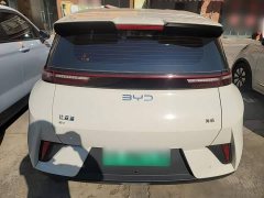 BYD Seagull Smart Drive 305km Vitality Edition - ფოტო 6