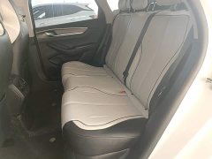 BYD Destroyer 05 Glory Edition DM-i 55KM Luxury - ფოტო 17