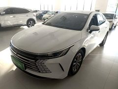 BYD Destroyer 05 Glory Edition DM-i 55KM Luxury - ფოტო 2