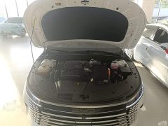 BYD Destroyer 05 Glory Edition DM-i 55KM Luxury - ფოტო 20
