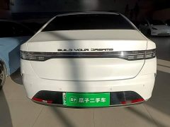 BYD Destroyer 05 Glory Edition DM-i 55KM Luxury - ფოტო 6