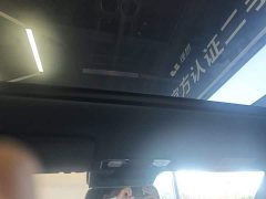 Li Auto L7 Pro - ფოტო 18