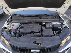 Geely Bingyue 1.5T DCT Longteng - ფოტო 20