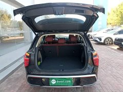FAW Red Flag HS3 PHEV 117km Dynamic Edition - ფოტო 19
