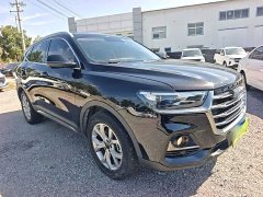 Haval H6 2021 National Trend 1.5T Automatic Champion Edition - ფოტო 4
