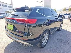 Haval H6 2021 National Trend 1.5T Automatic Champion Edition - ფოტო 7
