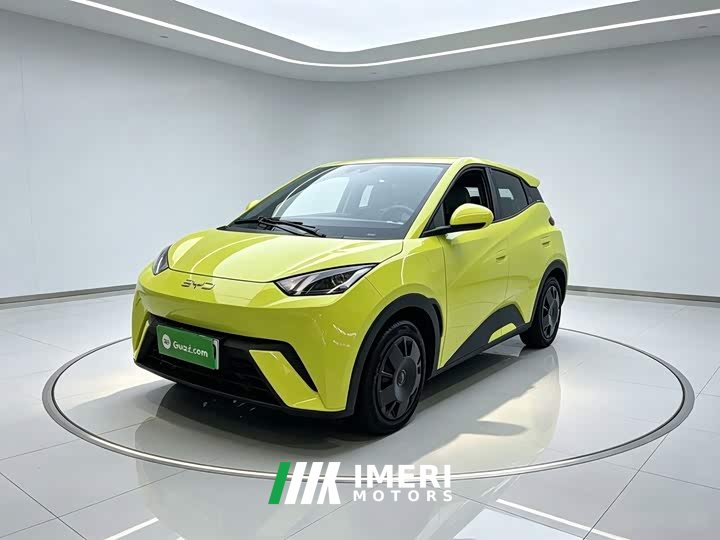 BYD Seagull Glory Edition 305km Vitality Version - ავტომობილი ჩინეთიდან