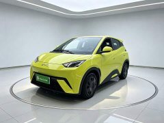 BYD Seagull Glory Edition 305km Vitality Version - ფოტო 1