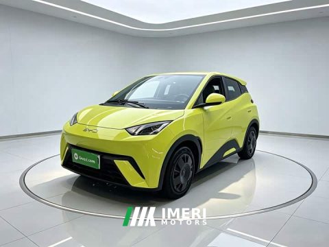 2024 BYD Seagull Glory Edition 305km Vitality Version - ავტომობილი ჩინეთიდან