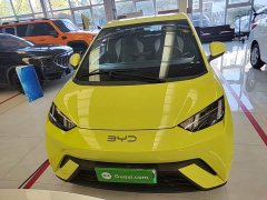 BYD Seagull Glory Edition 305km Vitality Version - ფოტო 3