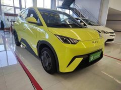 BYD Seagull Glory Edition 305km Vitality Version - ფოტო 4