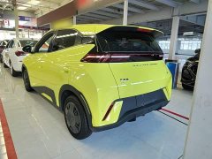BYD Seagull Glory Edition 305km Vitality Version - ფოტო 5