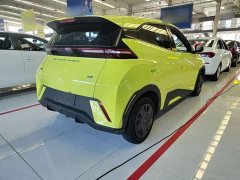 BYD Seagull Glory Edition 305km Vitality Version - ფოტო 7