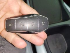 BYD Seagull Glory Edition 305km Vitality Version - ფოტო 9