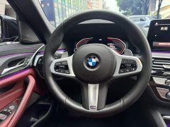 BMW 5 Series 530Li Luxury M Sport Package - ფოტო 10