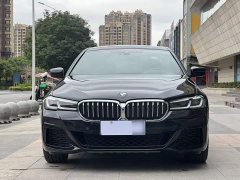 BMW 5 Series 530Li Luxury M Sport Package - ფოტო 16