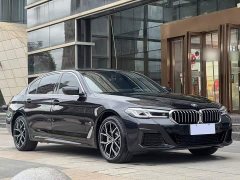 BMW 5 Series 530Li Luxury M Sport Package - ფოტო 17